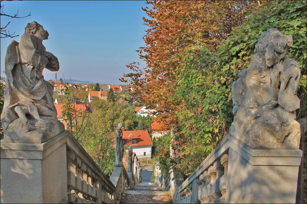 Karmelita Boutique Apartman Sopron Eksteriør bilde